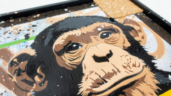 MONKEY MEETS THE STREET Artist Proof - Image 7