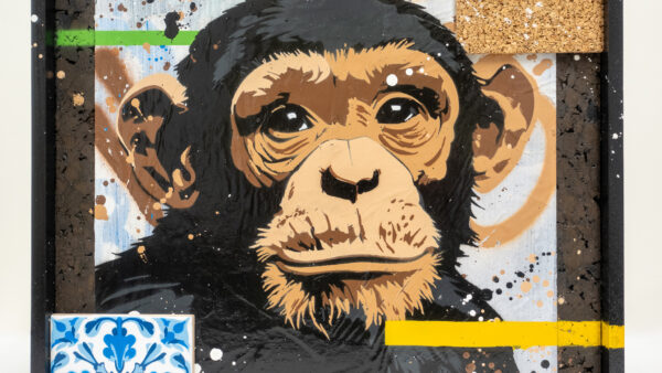 MONKEY MEETS THE STREET Artist Proof - Image 15