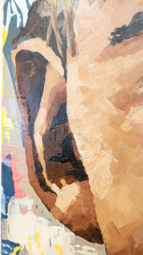 HOME FRAGMENTS - Image 31